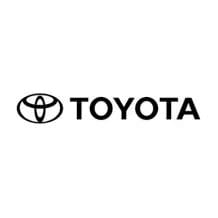 2-Toyota-thegem-person