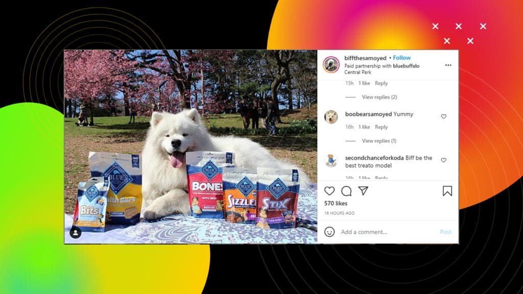 brand representative using cute picture of dog on instagram