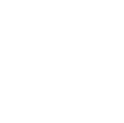 St. Vincent De Paul Logo White 2