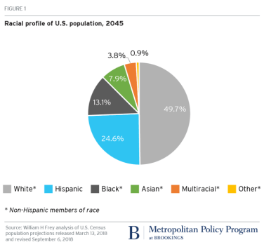 USA racial population contribution in business