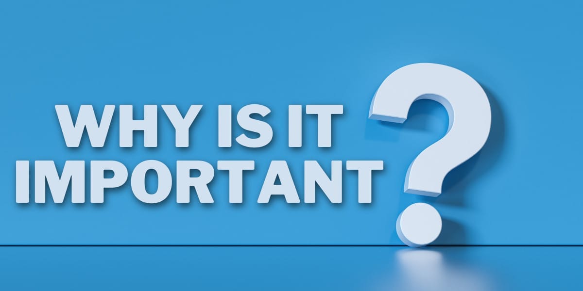 Why is a brand persona important?